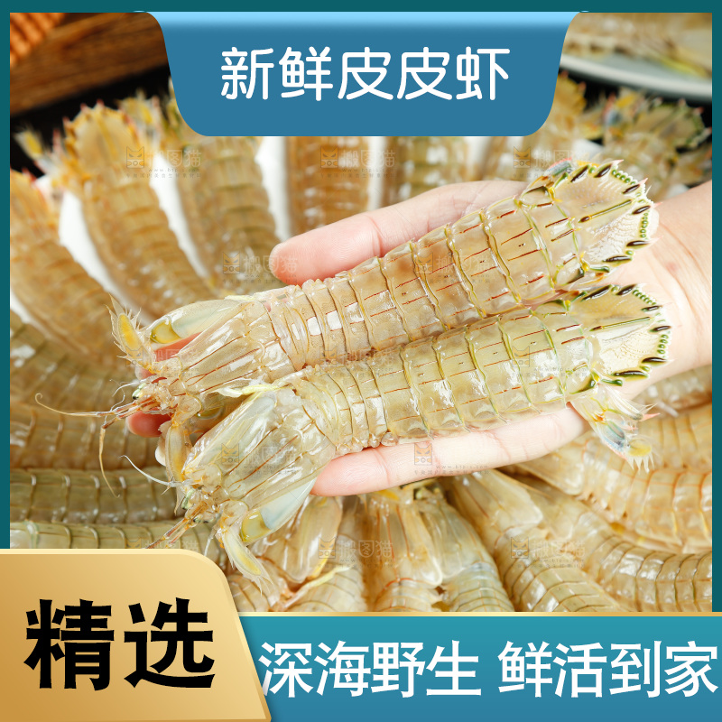手里拿着鲜活皮皮虾
