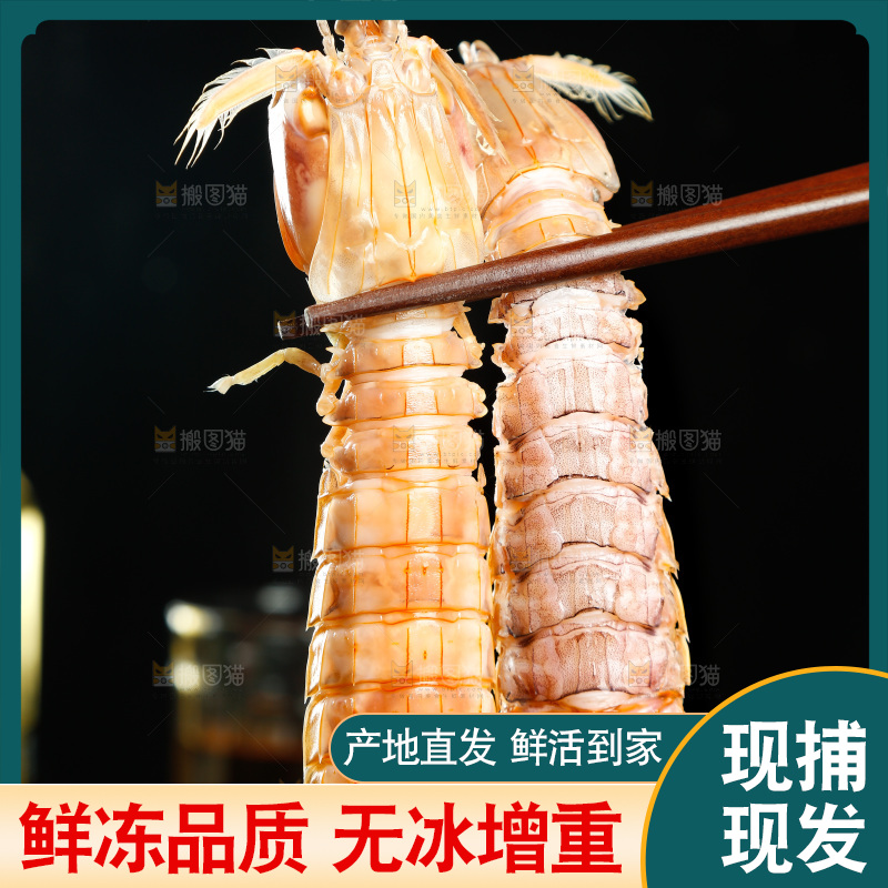 筷子上夹着攋尿虾
