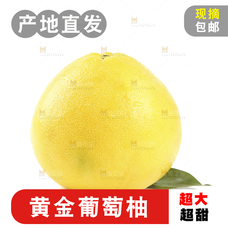 白底上的柚子
