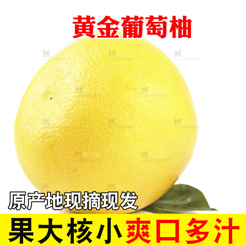 白底上的柚子