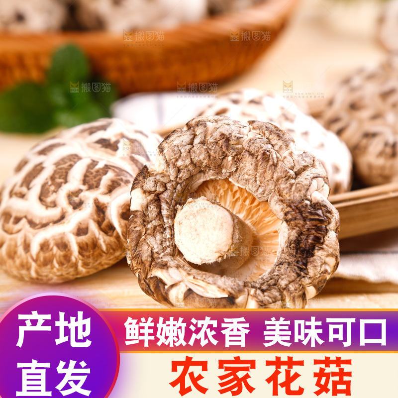 木底上摆放着椴木花菇