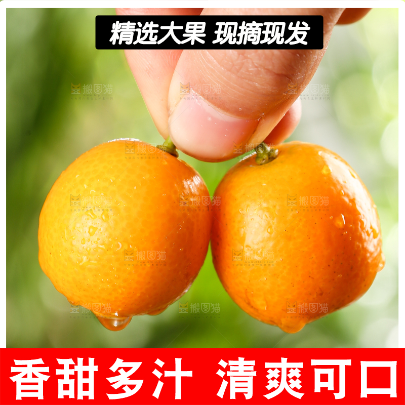 手里拿着金桔