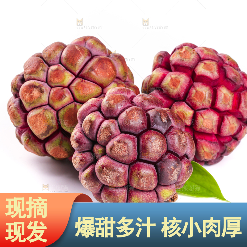白底上的美容长寿果