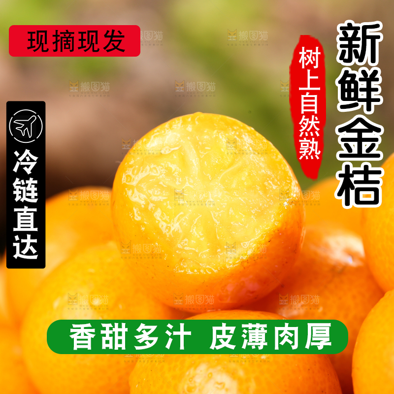 一堆广西小金桔
