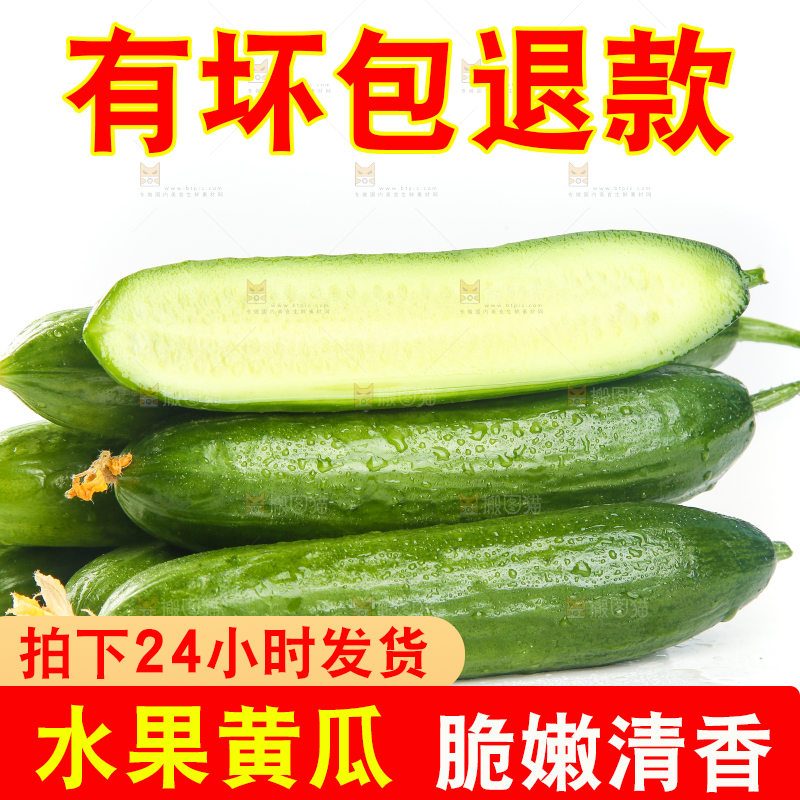 白底上放着一堆山东水果黄瓜