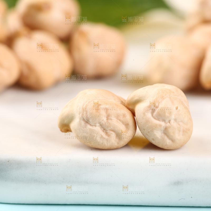 石垫上的新疆鹰嘴豆