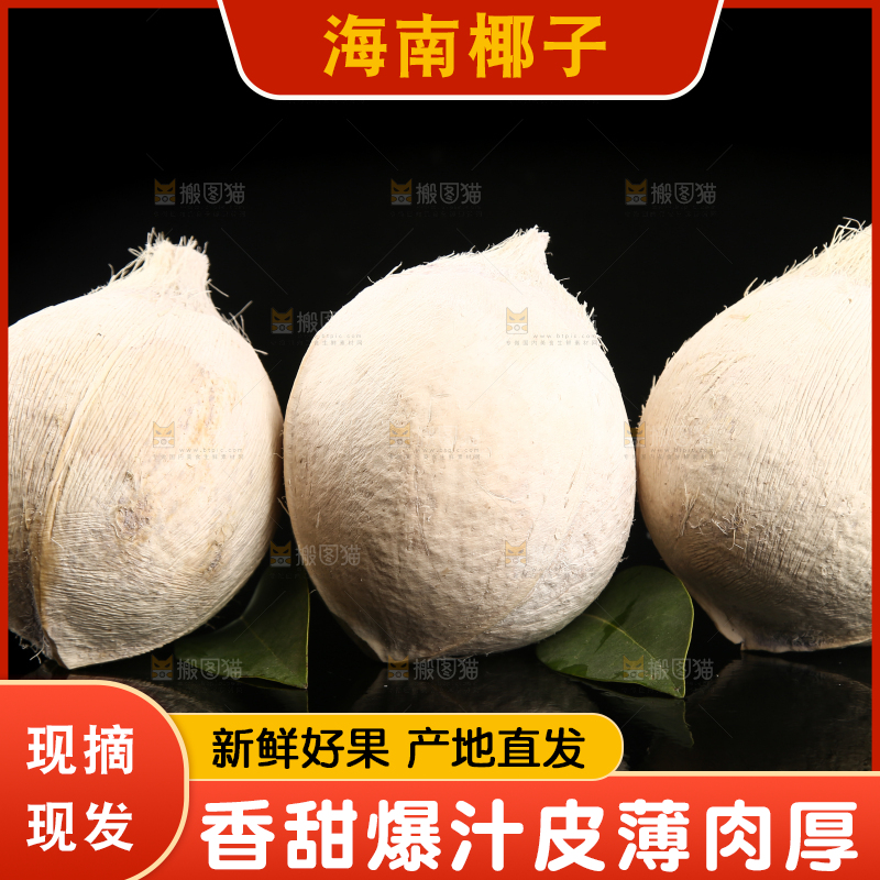 黑底上的牛奶椰子