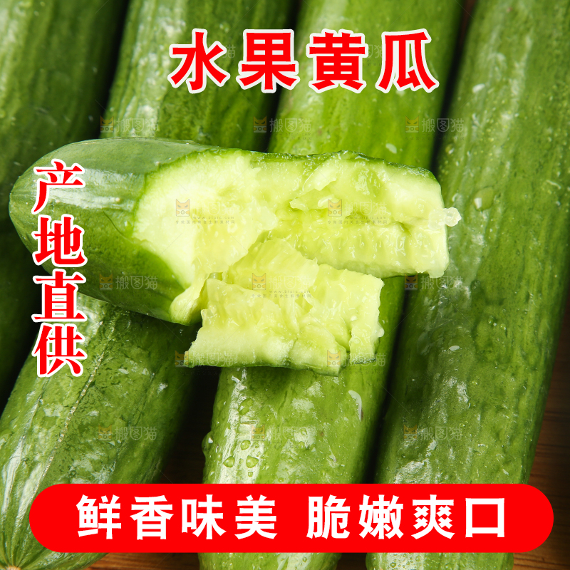 一盘小黄瓜