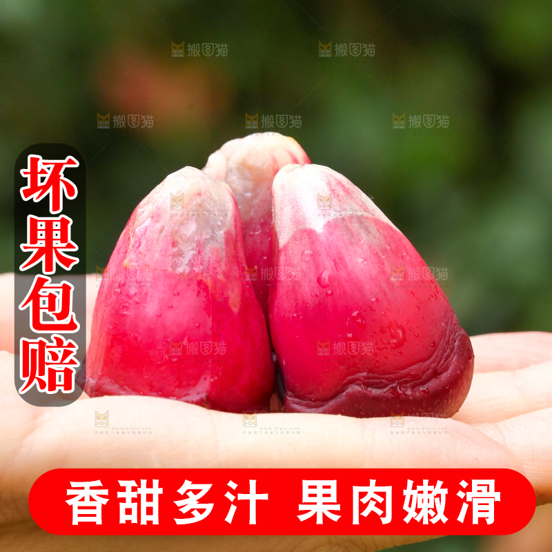 手里拿着恶魔果