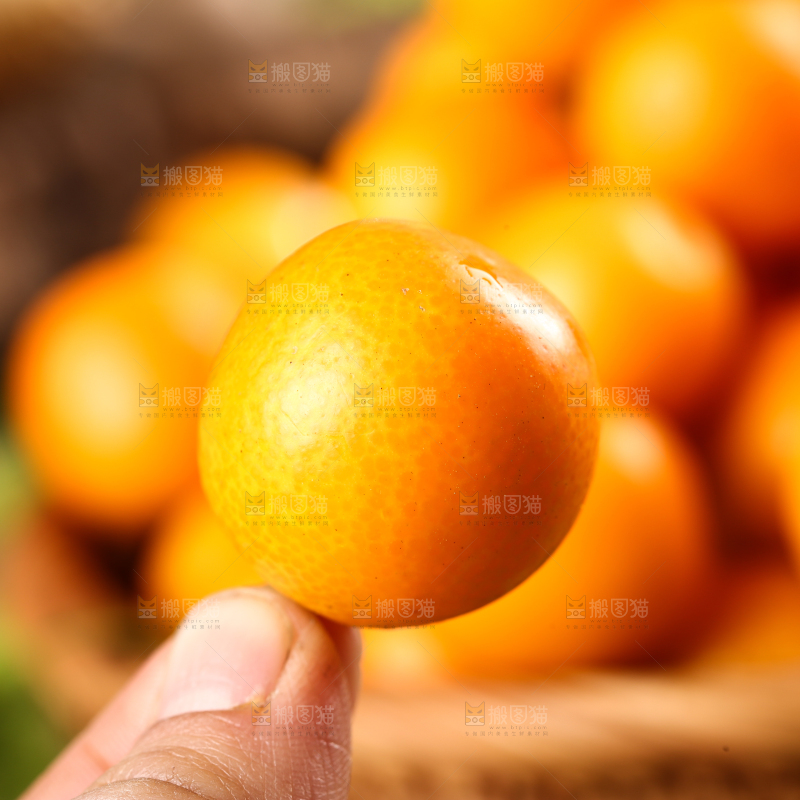 手里拿着金桔