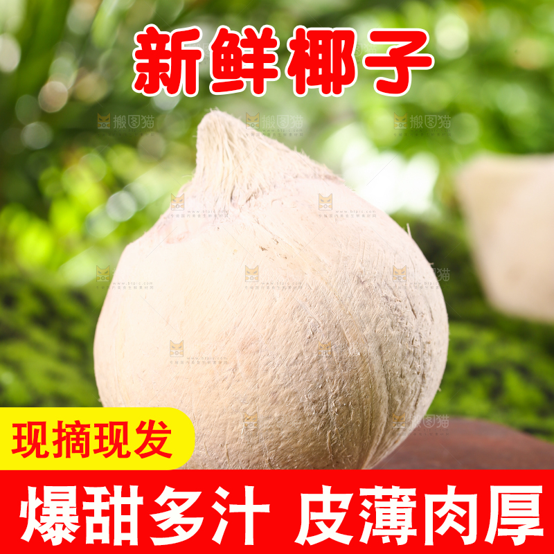 木板上一个牛奶椰子