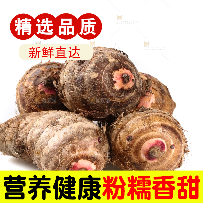 白底上的广西红芽芋
