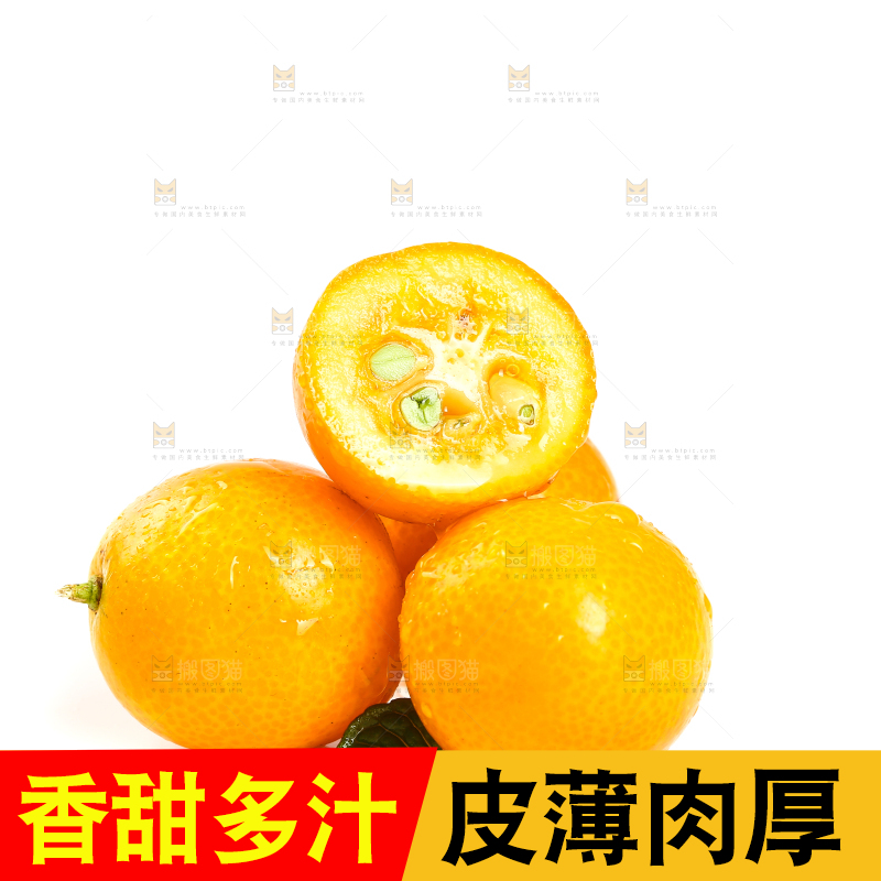 融安小金桔摆放在白底上