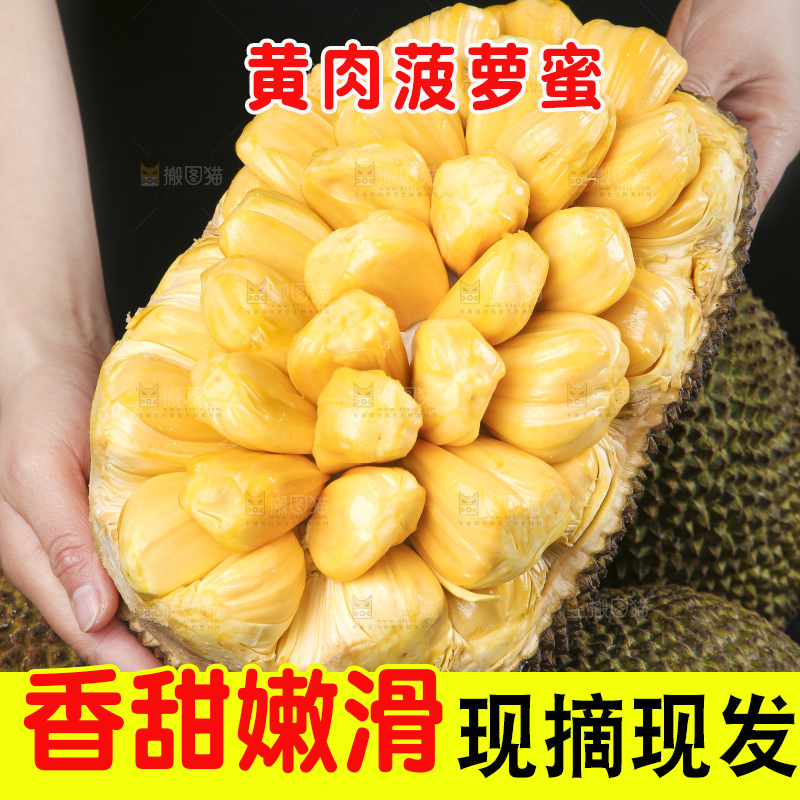 手里捧着海南菠萝蜜
