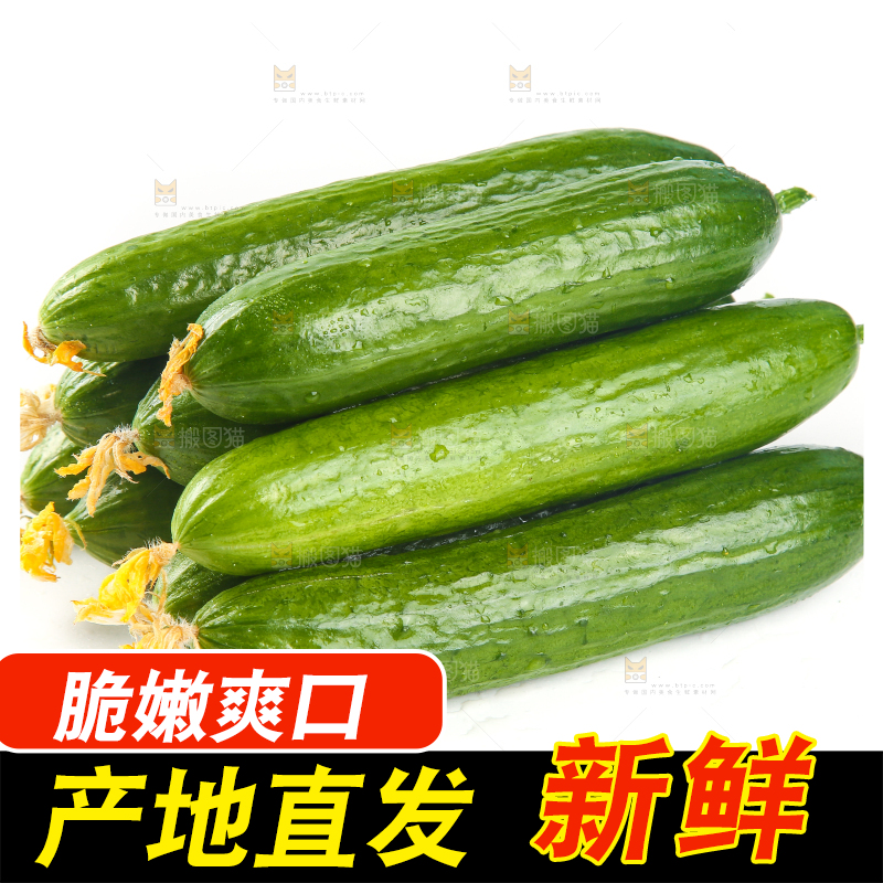 白底上放着一堆山东水果黄瓜