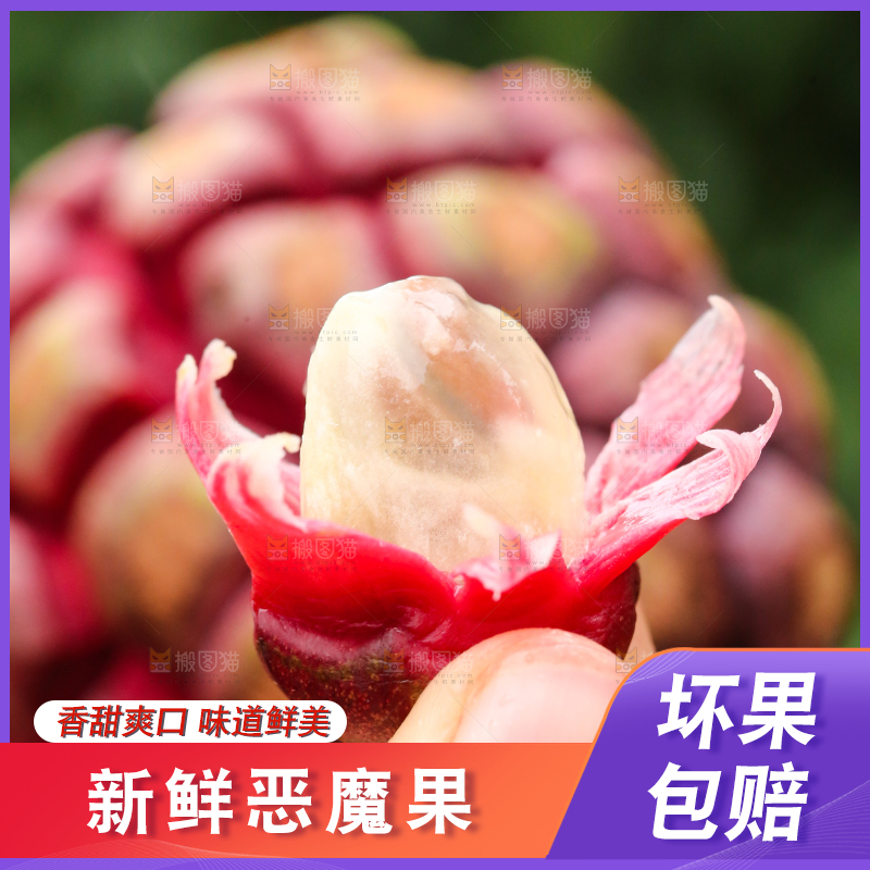 手里拿着一颗撕皮的布福娜