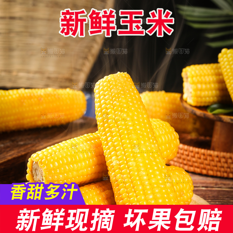 木板上摆放着糯玉米棒
