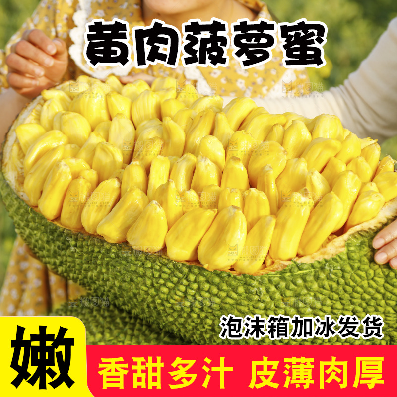 手里抱着黄肉菠萝蜜