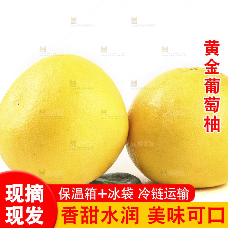白底上的柚子