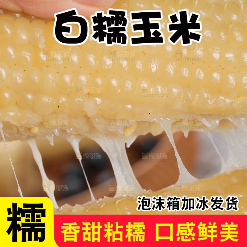 手里拿着白糯玉米棒