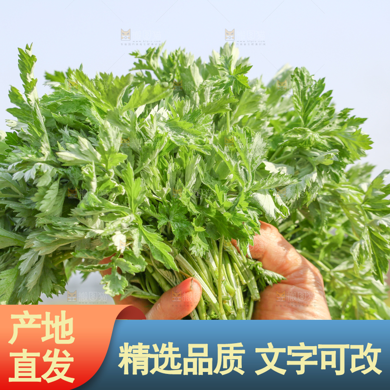 手里拿着野生艾叶