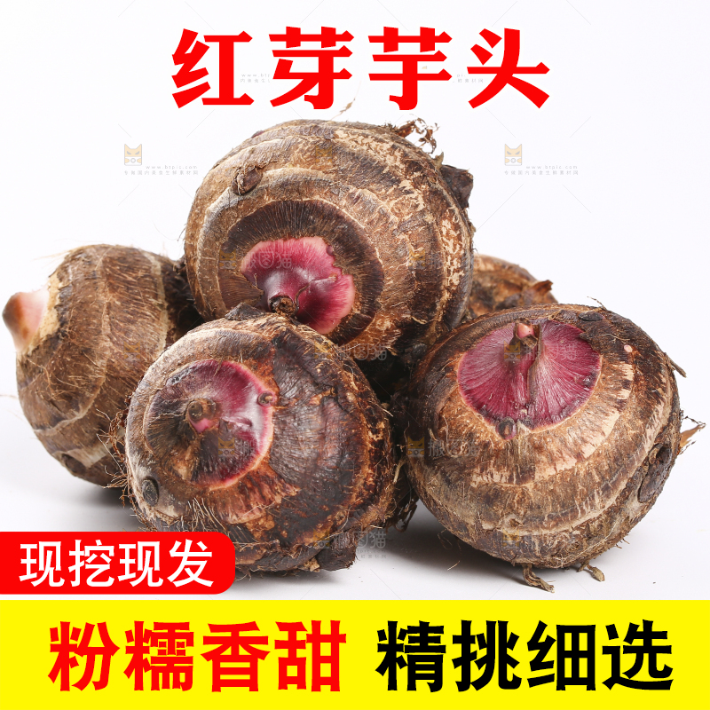 白底上摆放着红芽芋