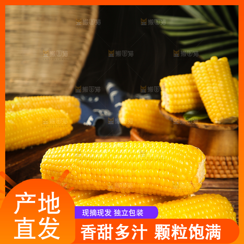 木板上摆放着糯玉米棒