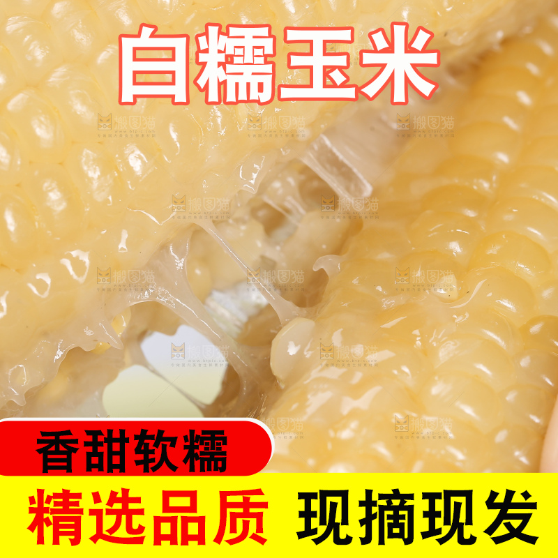 手里拿着白糯玉米棒