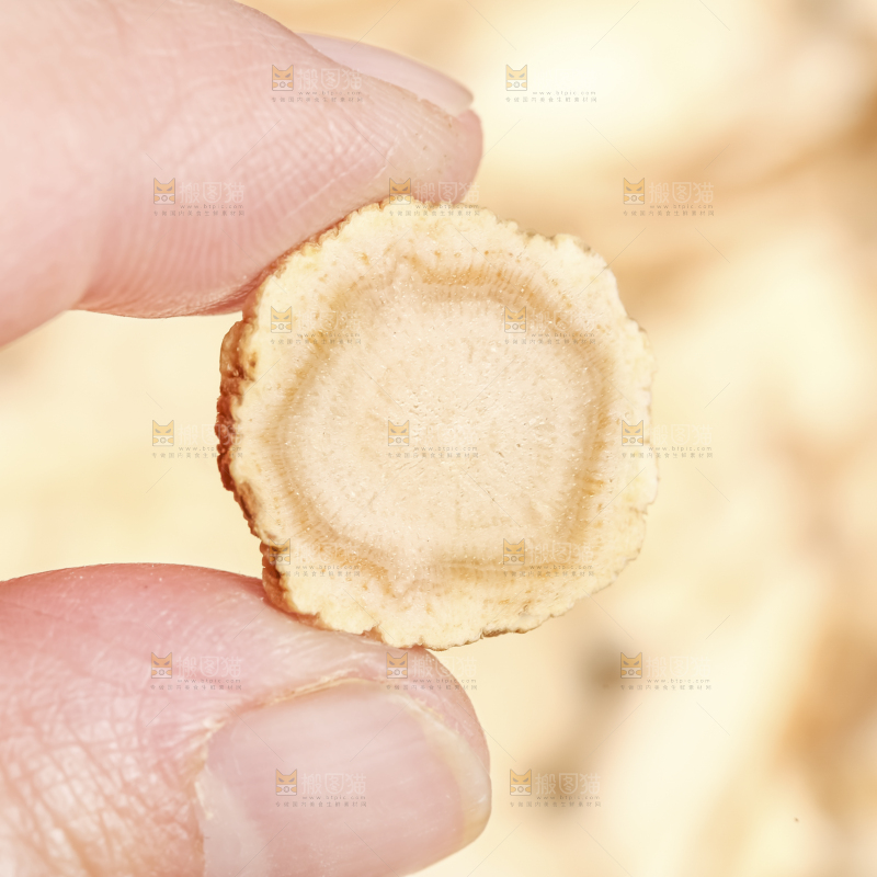 手里拿着花旗参