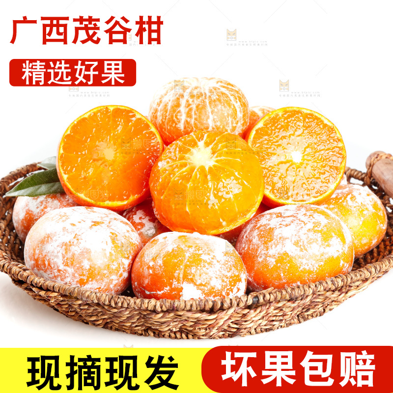 一篮广西茂谷柑