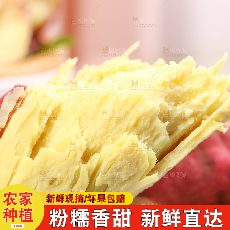 蒸熟的黄心板栗薯