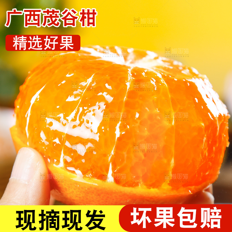 手里拿着茂谷柑