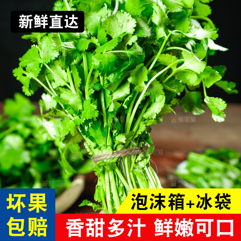 手里拿着小香菜