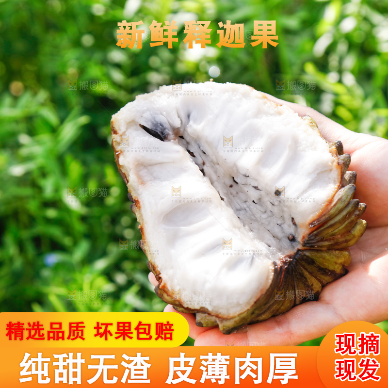 手里拿着释迦果