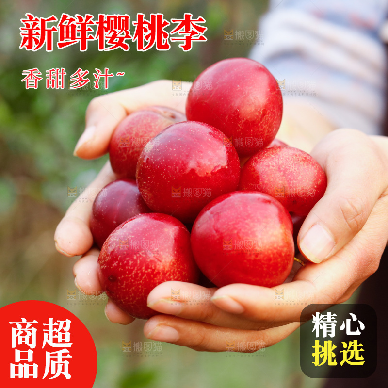 手里捧着进口樱桃李