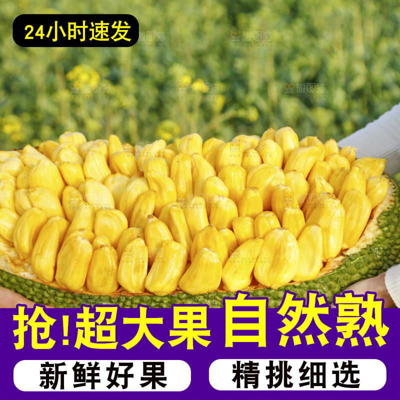 新鲜黄肉菠萝蜜