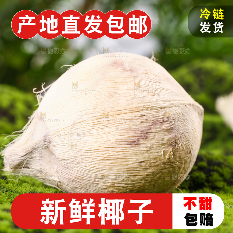 绿色草坪上的椰子