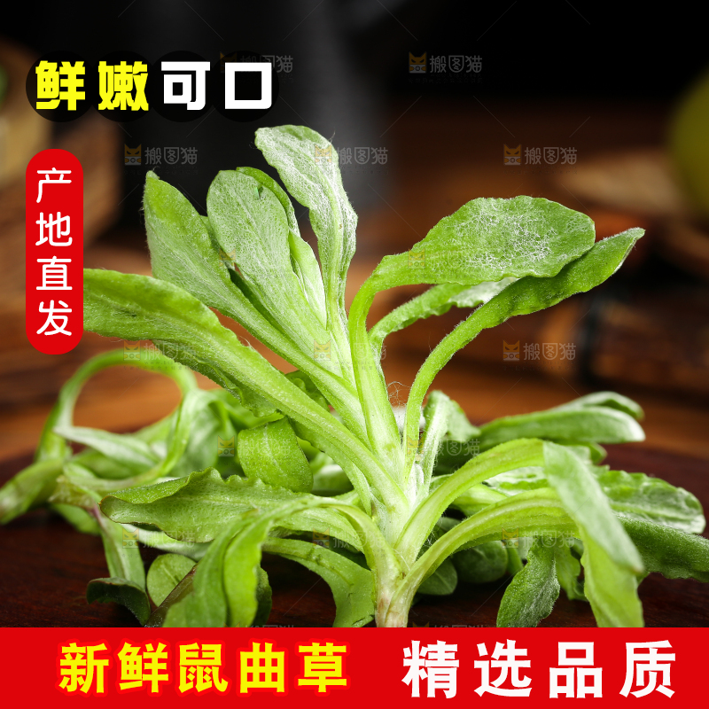 木底上的清明菜