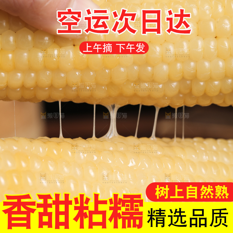 手里拿着甜糯玉米