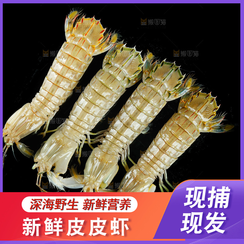 黑底上摆放着皮皮虾
