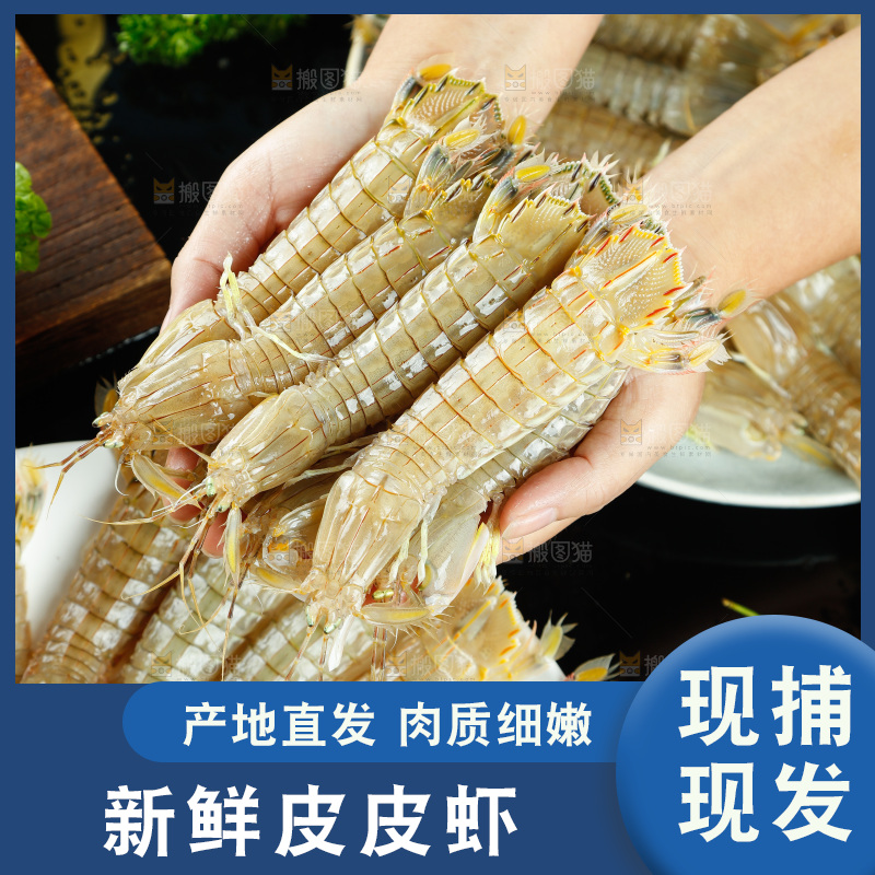 手里捧着琵琶虾