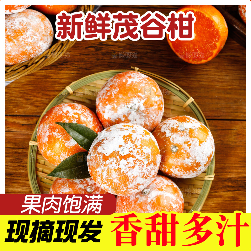 一篮广西茂谷柑
