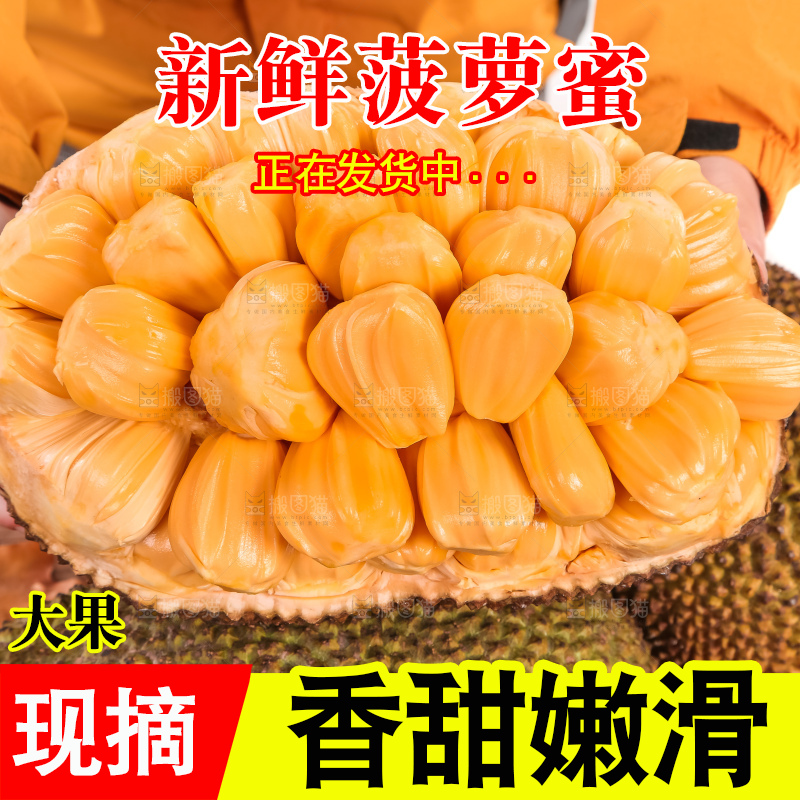 手里捧着红肉菠萝蜜