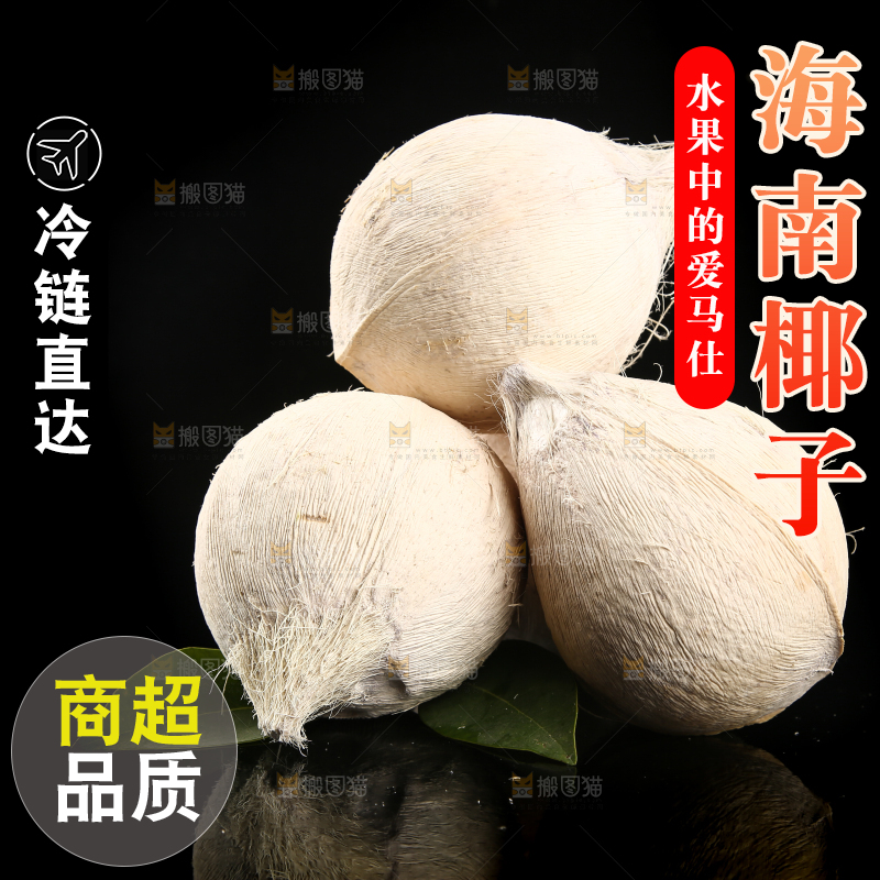 黑底上的牛奶椰子