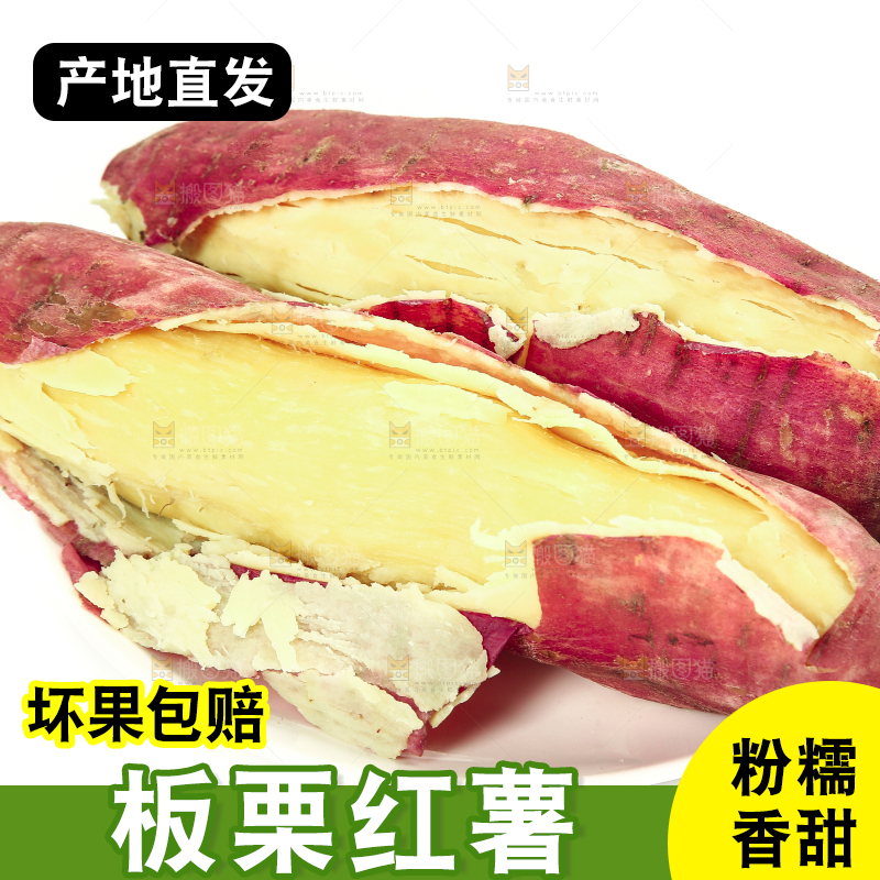 板栗薯