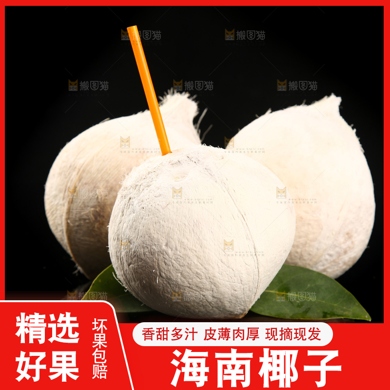 黑底上的牛奶椰子