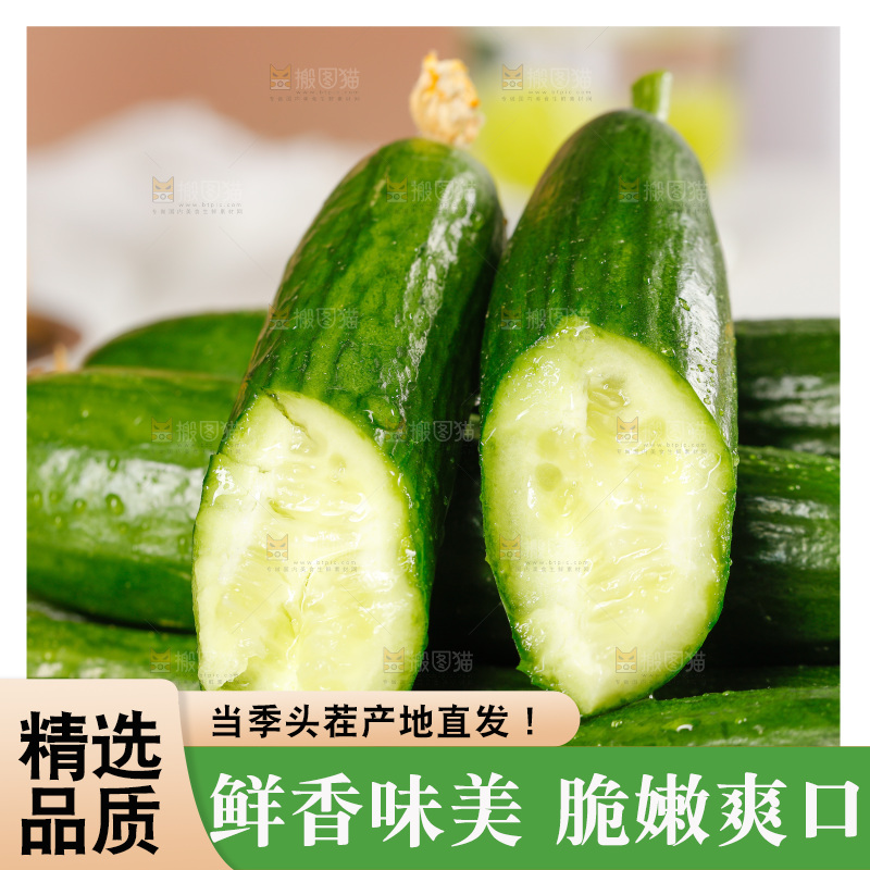 一堆新鲜的山东水果黄瓜