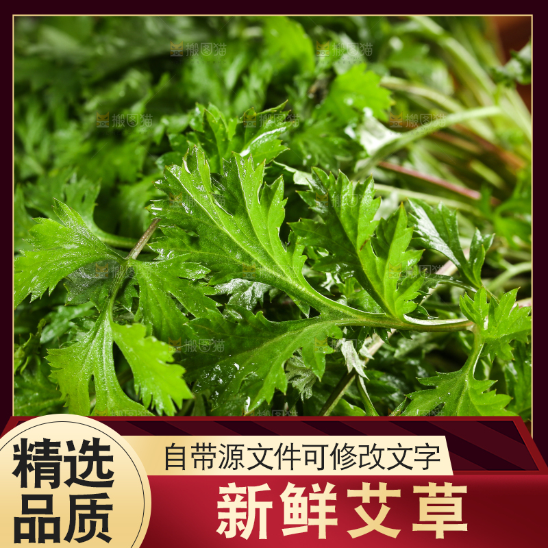 一盘新鲜艾叶