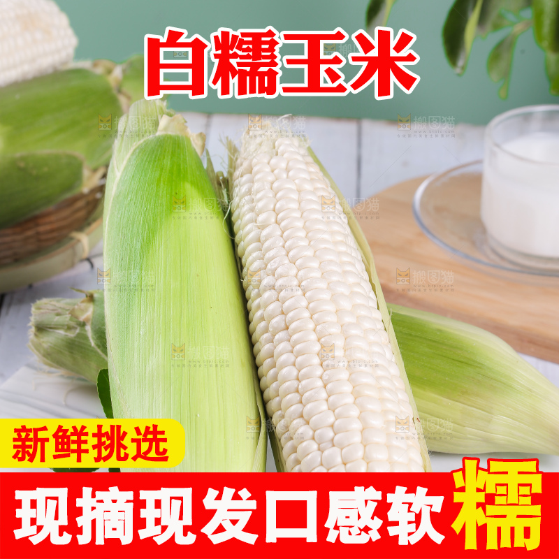 一堆白糯玉米棒