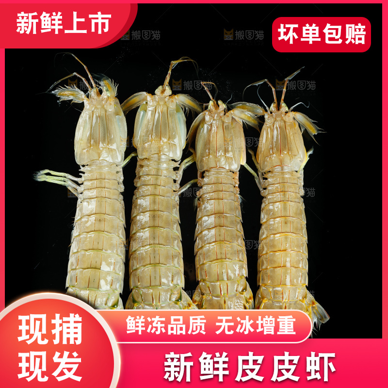 黑底上摆放着皮皮虾